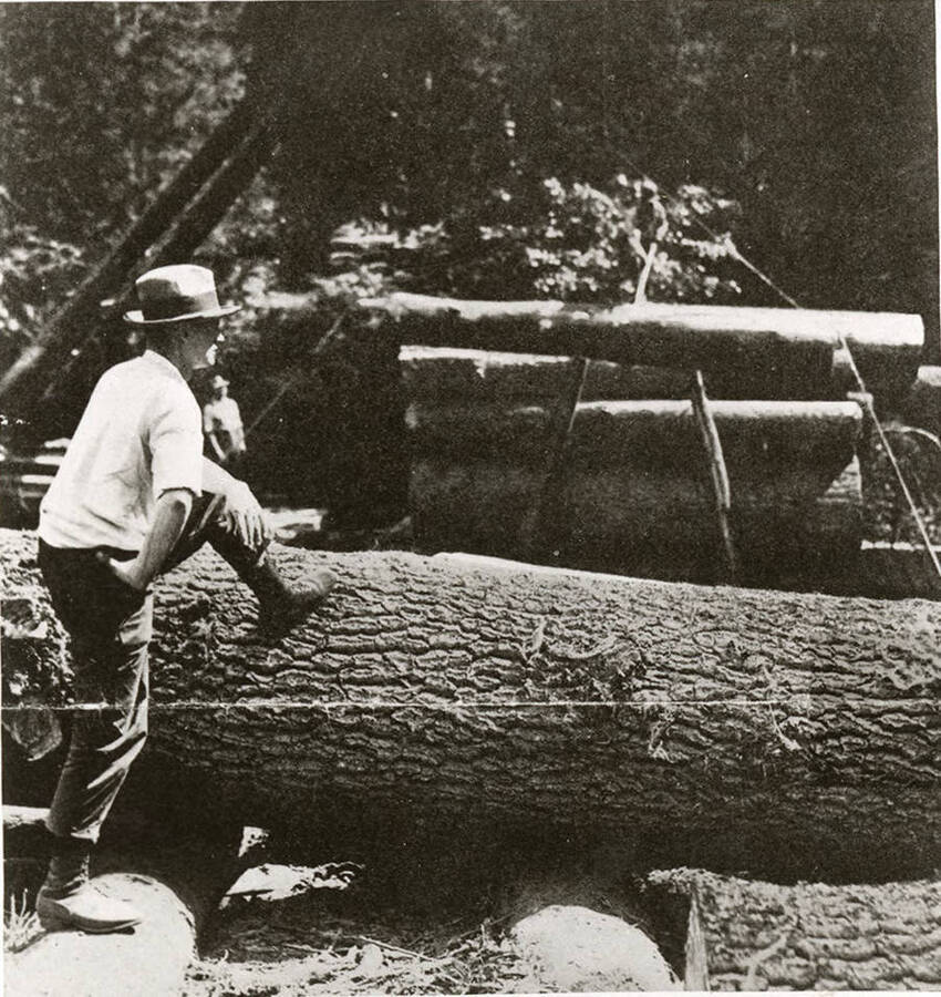 E. C. Rettig - the ubiquitous and informative 'Eddie' of this narrative - is 32 years old, chief forester, land agent and log agent for the Clearwater company. He was watching a jammer loading a big white pine logs when the 'Seav' made this portrait of him.