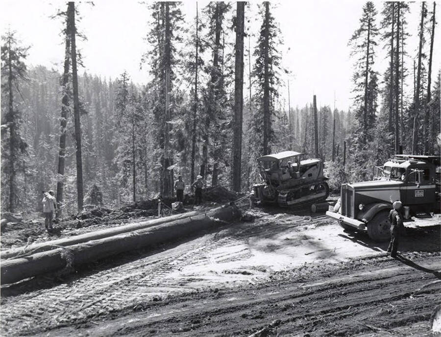 A caterpillar pulls several logs in the Headquarters, Idaho area.