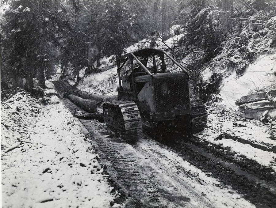 International TD - 18 tractor with pan and Carco winch and fairlead, skidding tree length logs to landing. Roads are built on snow with a 2-foot overlay of earth to prevent the snow from melting.
