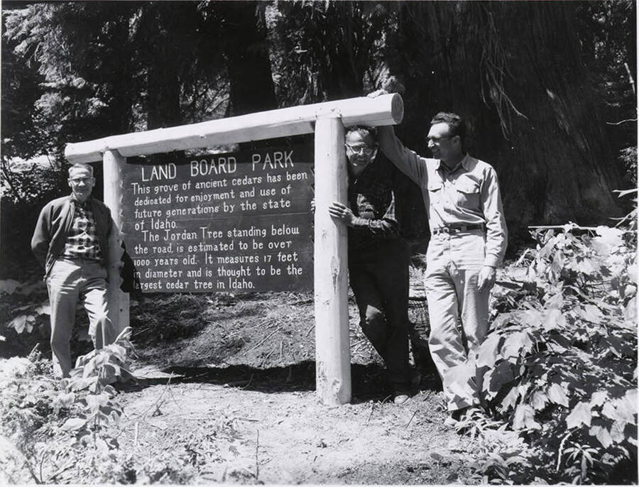 Three men pose next a sign for the Land Board Park and The Jordan Tree. It reads 'this grove of ancient cedars has been dedicated for enjoyment and use of future generations by the state of Idaho. The Jordan Tre standing below the road is estimated to be over 1000 years old. It measures 17 feet in diameter and is thought to the largest cedar tree in Idaho.'