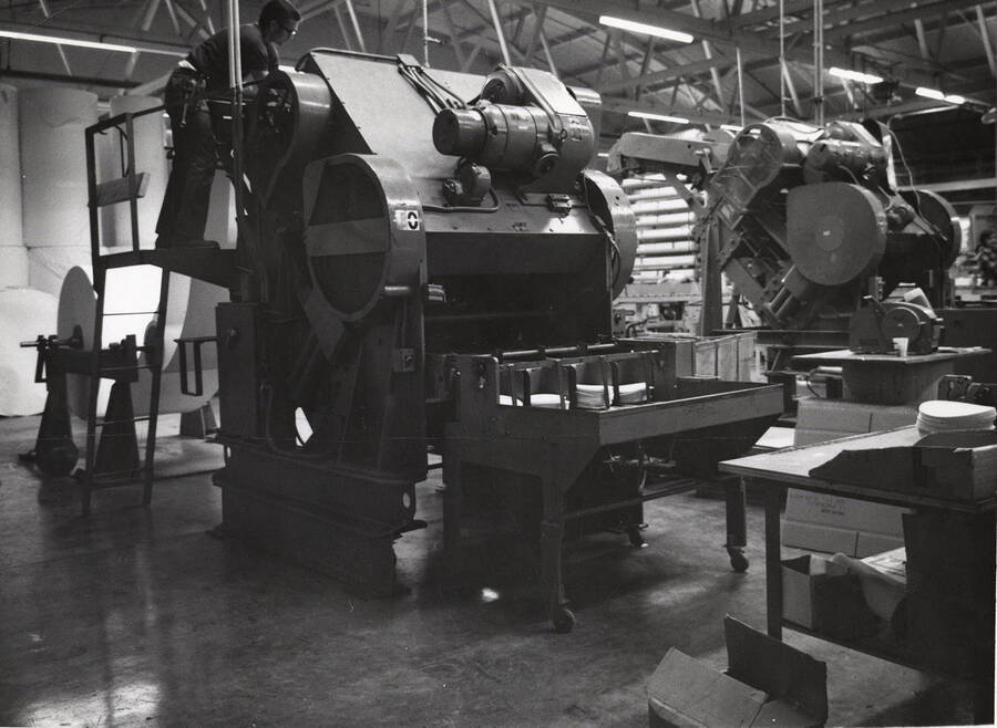 A machine that cuts larges roles of paper (seen on left side of the photograph) and turns them into to cut pieces.