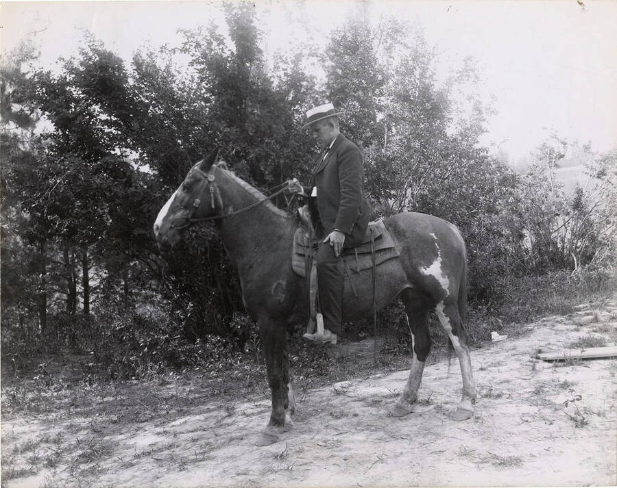 The description on the back of the photograph reads 'J. S. LePard on his horse (Babe).' Resident of numans add. To Onaway 1905-1925.