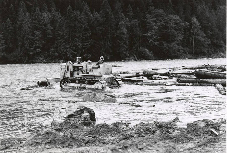 A man drives a bulldozer to push logs into the Clearwater river for the annual log drive.