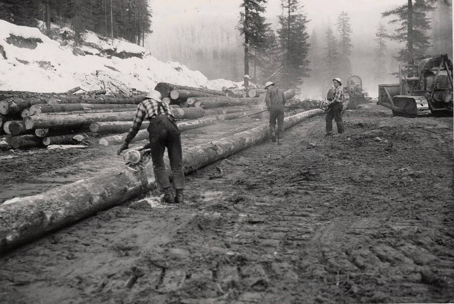 The man closes to the camera uses an electric saw to cut a log into pieces for transport. Two other men are working further down the log. In the background is a bulldozer.