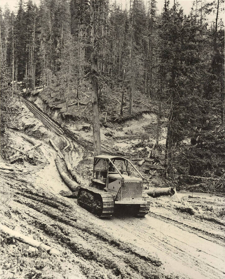 A caterpillar pulls two logs down a hillside. In the background, you can see the bare land left by logging and skidding the logs down the hill.
