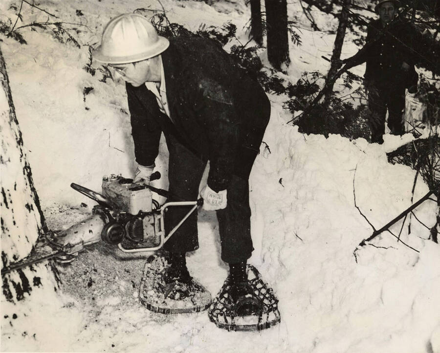A man, wearing snowshoes, uses a chain saw to cut at the base of a tree.