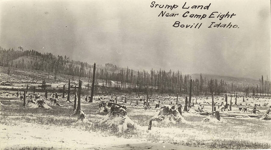 Land near Camp 8 and Bovill, Idaho is cleared of trees, leaving the stumps. Caption on the picture reads 'Stump land near Camp Eight Bovill Idaho.'