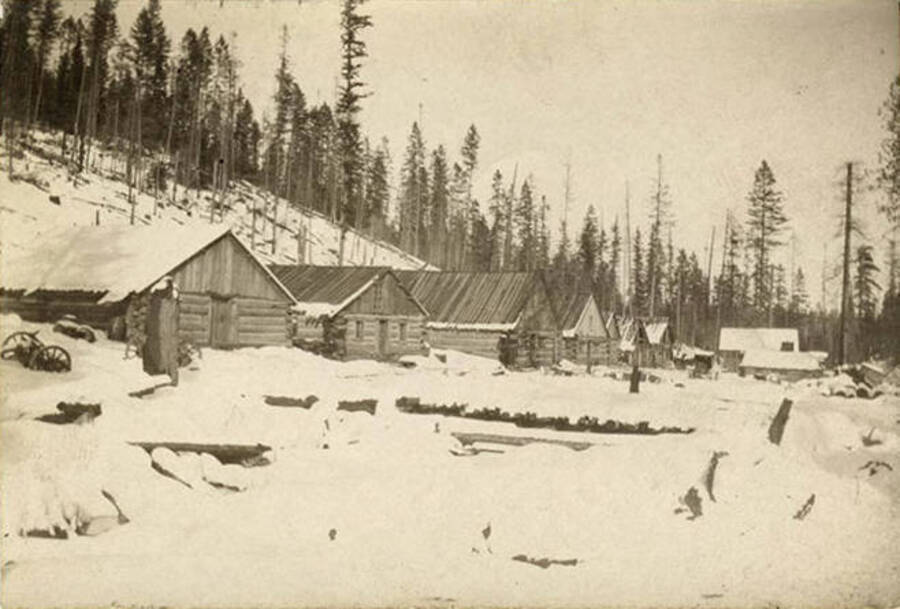 Snow covered log-formed bunk houses make up part of camp 1. Behind the bunkhouses are un-harvested trees.