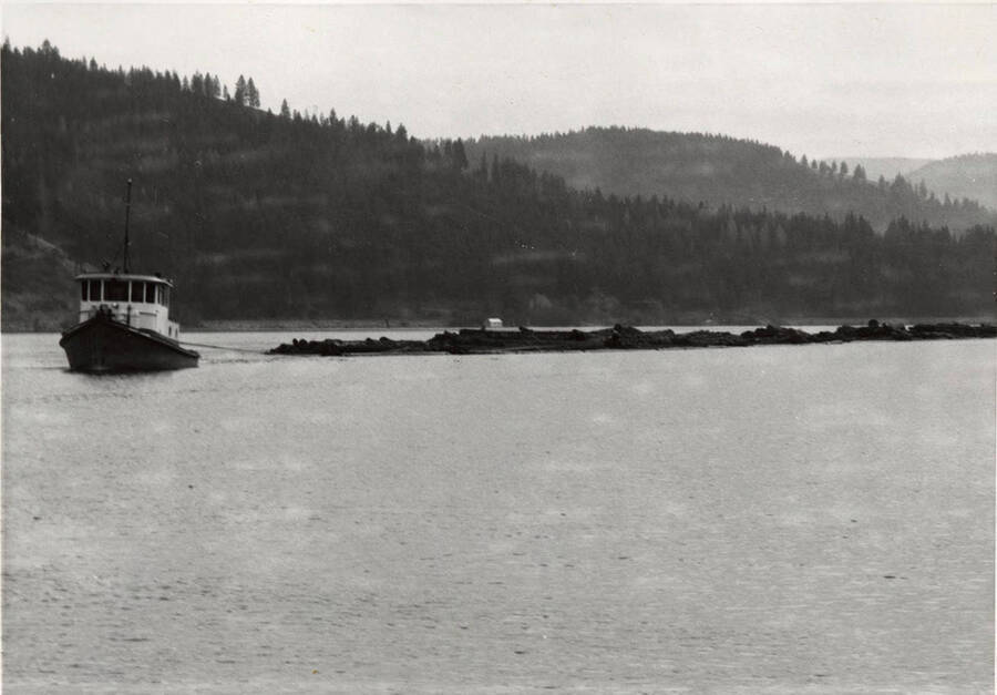 A tugboat pulls in a group of logs from Lake Coeur d'Alene towards the mill.