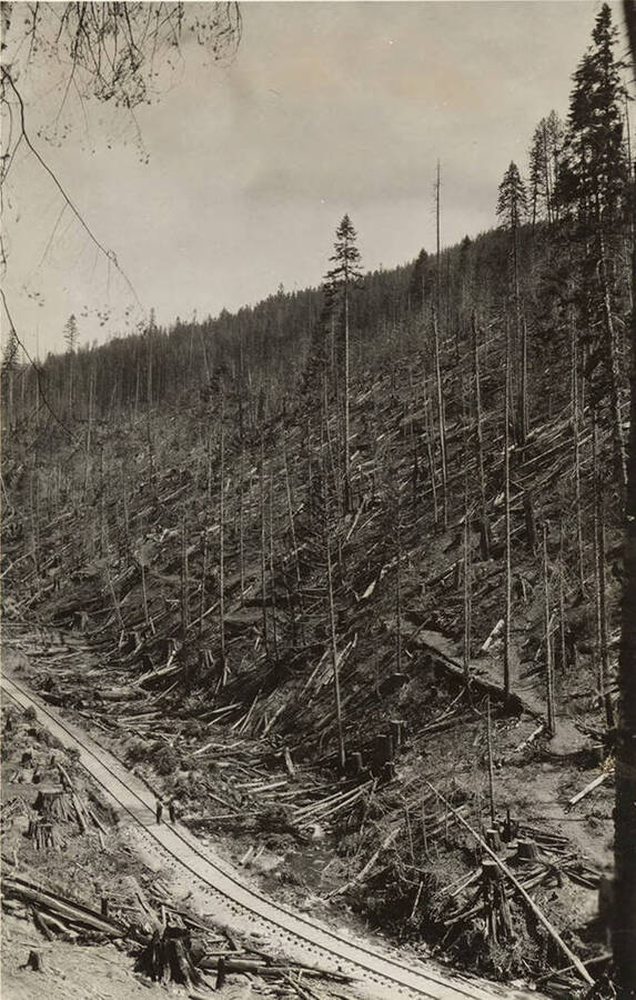 Two men stand on railroad tracks while in back of them is the effects of slash and burn logging. On the back of the photograph it reads 'burned spring 1926. 15 per cent of trees fire killed. Cost 75 c per M to pile and burn.'