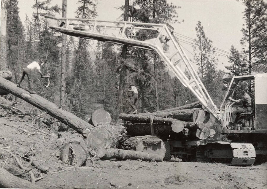 On the left, a man grabs a hook to attach it to a log, while in the middle, a man walks on logs already on the truck. On the right, a man operates the crane.