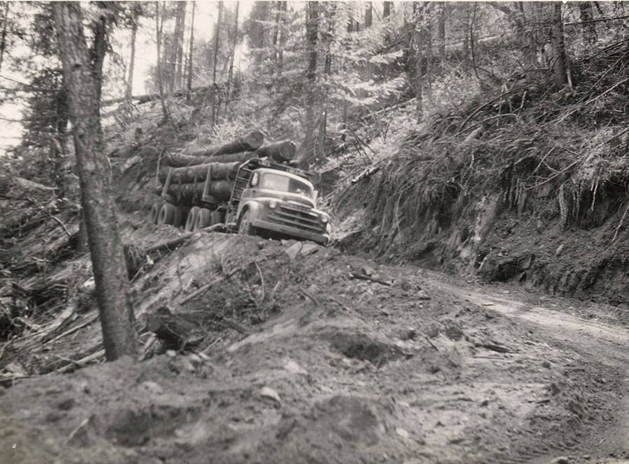 A truck carries a load of logs down a mountain road.