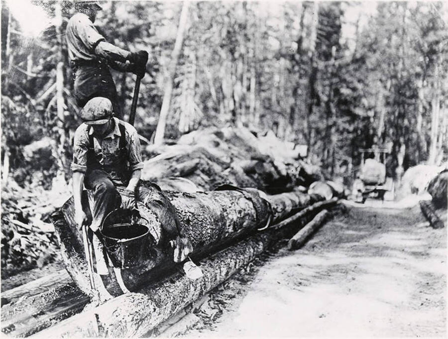 A young man sits on a log, holding a bucket and is using sometime of brush to mark a log below him. Another logger stands on the log behind him.