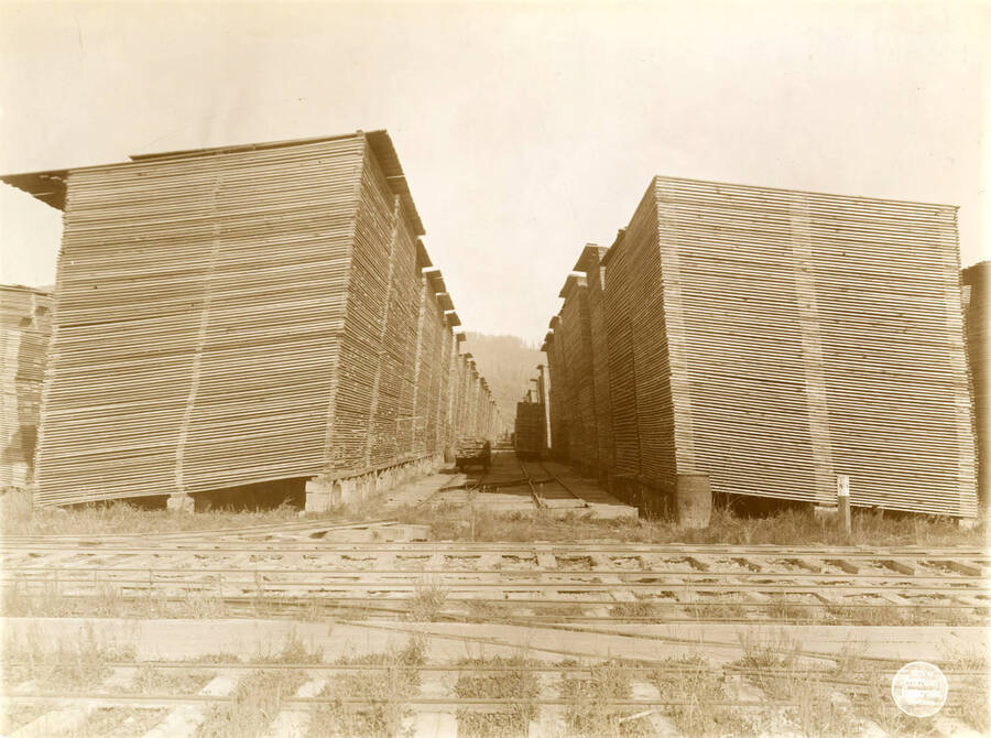 Alley No. 8 in lumber yard from south end. Description taken from American Lumberman papers found within the folder. Photograph taken between September 28 and October 4.