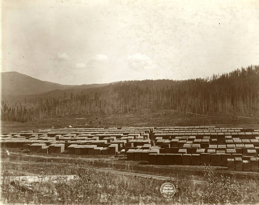 Part of  a "three plate panoramic view of the plant at Elk River from hill." View of the planked lumber  yards. Description taken from American Lumberman papers found within the folder. Photograph taken between September 28 and October 4.