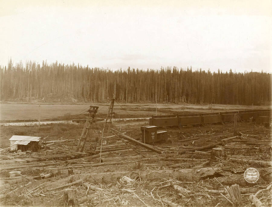 Electric logging operations, from hillside, showing landing of poles and loading of logs on cards, with Donkey No. 2, transformer car and camp cars. Description taken from American Lumberman papers found within the folder. Photograph taken between September 28 and October 4.