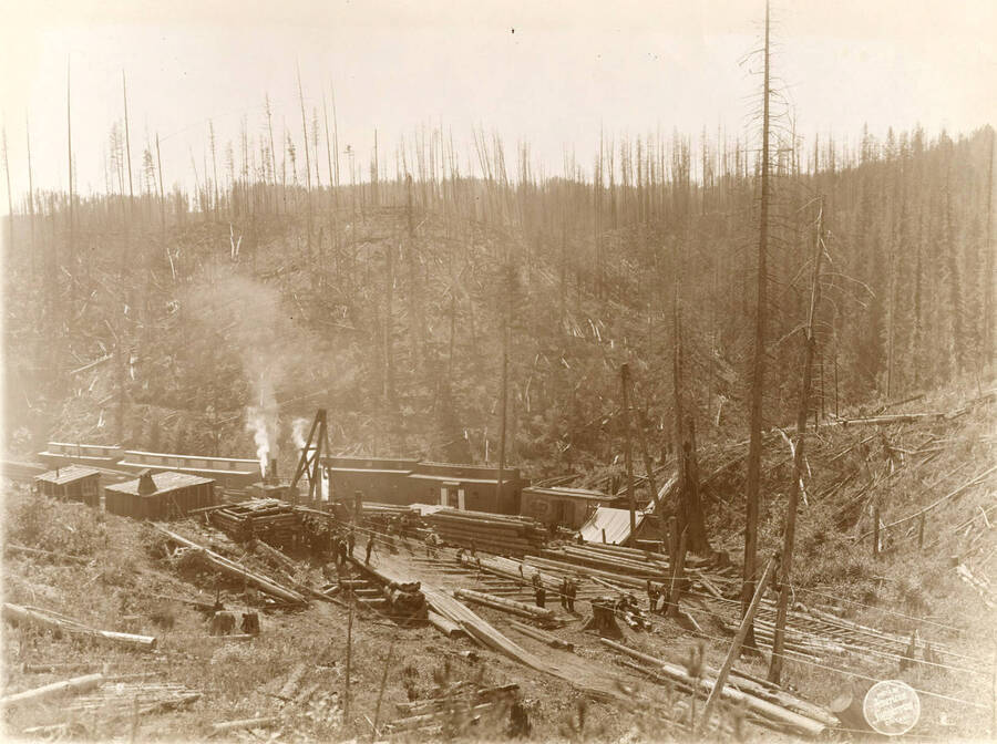Image shows the end of the skyline in bringing the logs to a rail line to send them to the mills.
