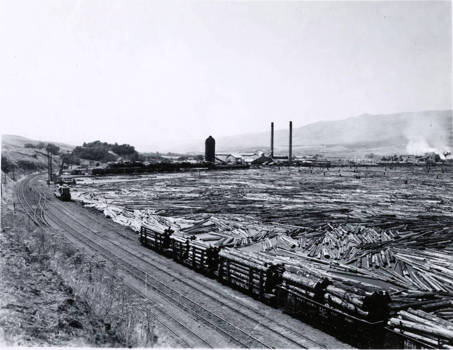 Looking at the lumber pond for the Clearwater Paper Mill. Rail cars hold logs that are going to be dumped into the pond in the foreground. The sawmill is in the background.