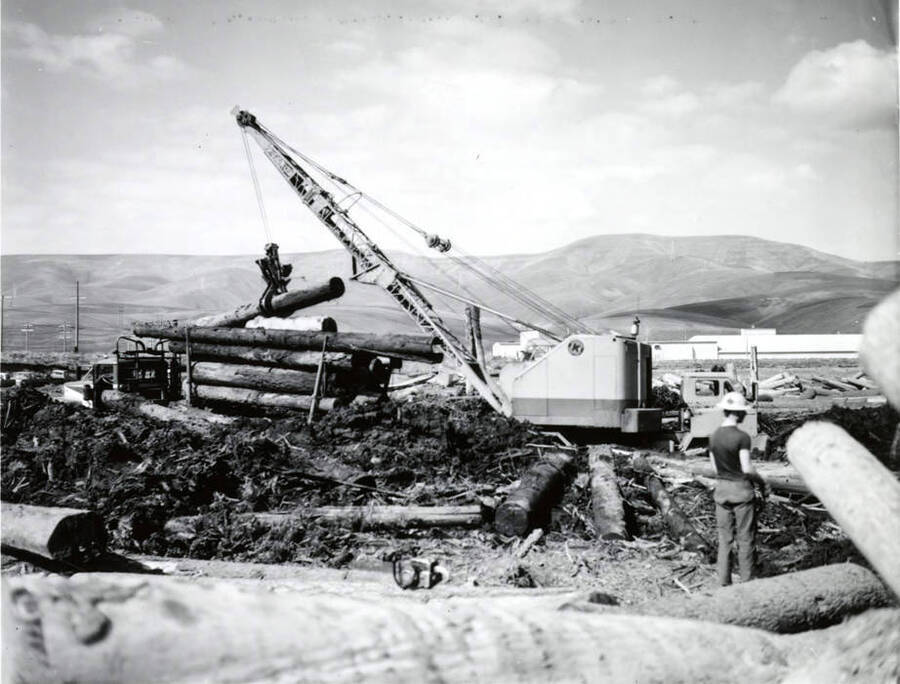 A crane lifts a log either on or off a truck full of logs. The description on the envelope says "logging Lewiston log pond."