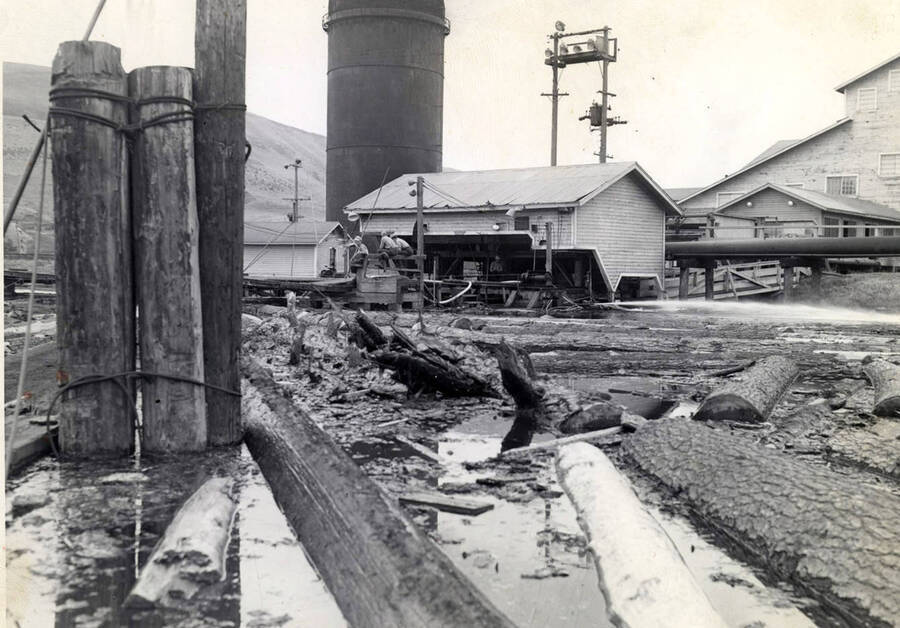 One end of the log pond. In the foreground, three logs tied as pilings are pictured. In the background, buildings for the paper mill are shown.