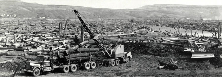 Panoramic shot of the log pond at the Clearwater Paper mill. On the right hand side of the photograph, front loaders work with dirt. On the left-hand side of the picture, a crane lifts a log onto a tractor trailer.