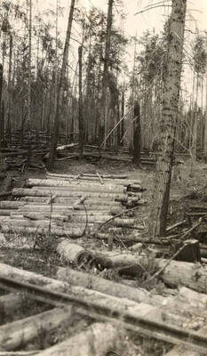 Scene near Fernwood, Idaho [02]