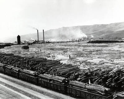 View of the log pond, logs, and railcars. Loaded rail cars sit, waiting to unload while logs are waiting to be sorted and put into the pond. In the background is the mill.