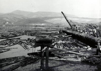A drum stands in front of the Clearwater log pond while a crane in the background moves logs from the flatbed railcars to the pond.