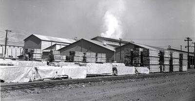 Covered and uncovered stacks of lumber are piled next to buildings. Description on the back of the photograph reads "Laminating Dept Buildings with Lock-Deck and Beams on shipping dock."