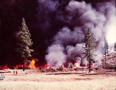 Two men stand on the left-hand side of the photograph watching brush and logs burn in a controlled burn.