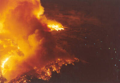 Flames and smoke race over the ground in a large forest fire