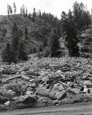 Debris from flood waters coming from the hills.