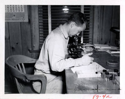 A forest researcher counts fungi spores via a microscope.