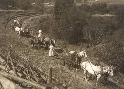 The women have brought lunch to the men and are posing for a picture similar to the previous one.
