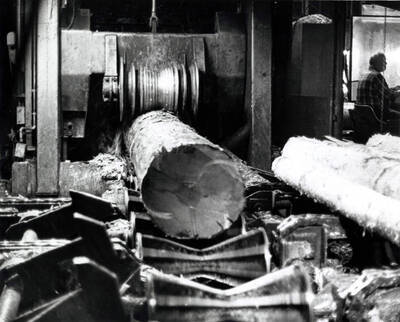 A log being pulled through what appears to be a debarker. On the back, it states that the rights are held by Earl Roberge and American Society Magazine Photographers.