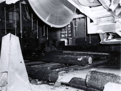 Logs coming through the cut off saw.