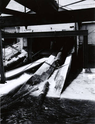 Logs wait in log slips.