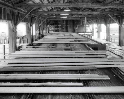 Planks coming down the green chain to be sorted into piles.