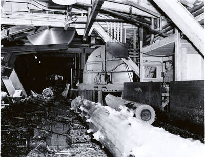 Two cut and debarked logs sit waiting to move, while a third comes in to to be cut.