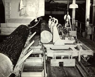 One rough log waits to go through the head saw, while another goes through.