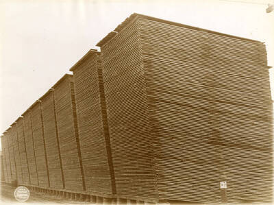 Finished Lumber [02]