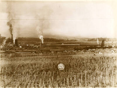 Plant from east hill north of Catholic church.' (Description taken from American Lumberman papers found within the folder) Photograph taken between September 28 and October 4.