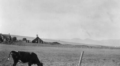 Hearing before the Board of Equalization, Moscow, July 28, 1913. 24 views of land with legal description and assessment of each parcel. Chris Colle land assessed at $70.00 per acre. improvements on lot 17 $50.11.
