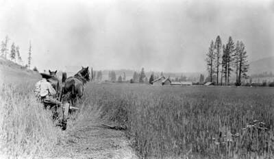 Hearing before the Board of Equalization, Moscow, July 28, 1913. 24 views of land with legal description and assessment of each parcel. NE1/4 NE1/4 16-41-4W; G.W. Wilton land assessed at $40.00 per acre.