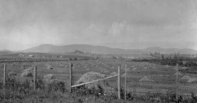 Hearing before the Board of Equalization, Moscow, July 28, 1913. 24 views of land with legal description and assessment of each parcel. W1/2NW1/4 26-42-5W; On the right David Notman land assessed at $50.00 per acre. E1/2 NE1/4 27-42-5W; on the left Mike Freeze land assessed at $50.00 per acre.