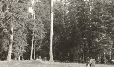 Two views of Laird Park.