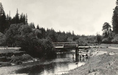 Several girls wading in the river.