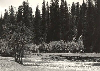 Looking across the river into the park.