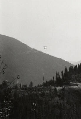 A Vertol twin rotor helicopter flies a load of logs to the log deck.