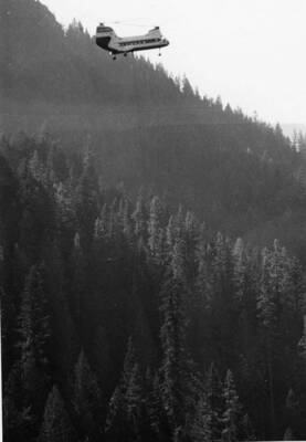 A helicopter is used to log trees out of rugged terrain.